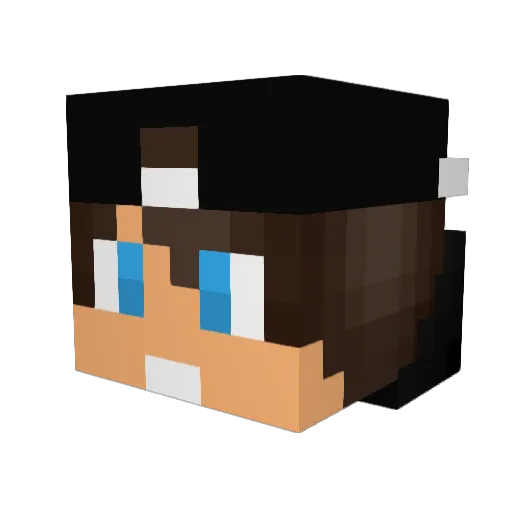 HILIPO9 Minecraft avatar head, 3D render