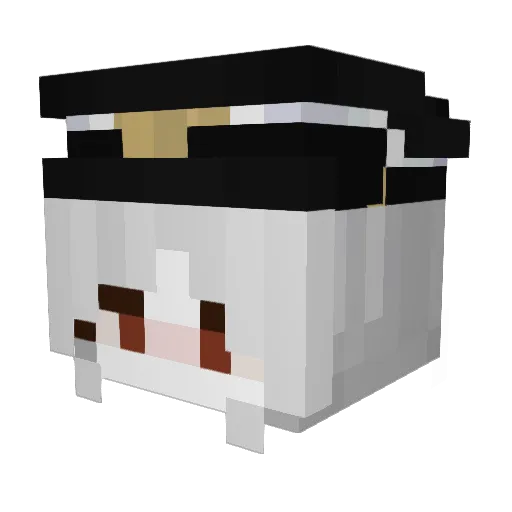 HILLGNER Minecraft avatar head, 3D render