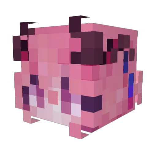 HILLSTR2007 Minecraft avatar head, 3D render