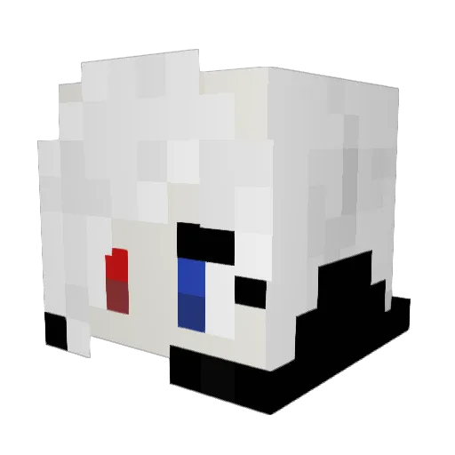 HIMS_YOUSA Minecraft avatar head, 3D render
