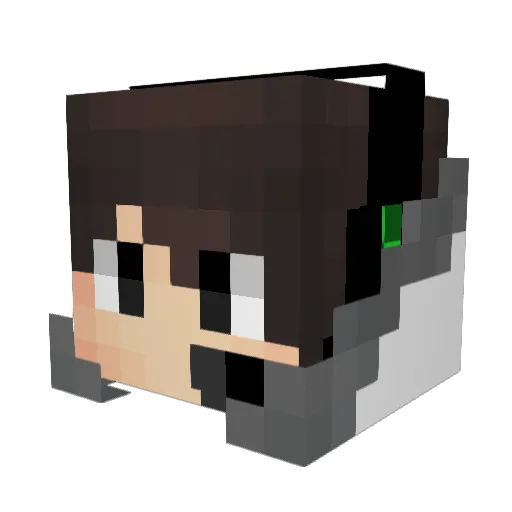 HINOTAMA_BOY Minecraft avatar head, 3D render