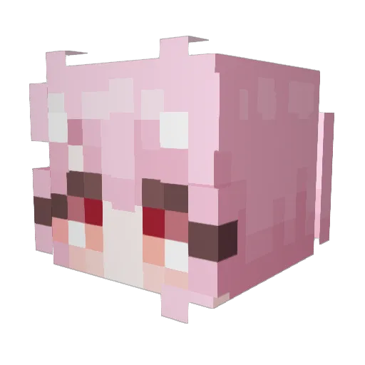 HINYA_ Minecraft avatar head, 3D render
