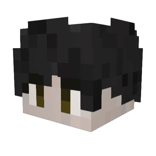 HIROKI4928 Minecraft avatar head, 3D render