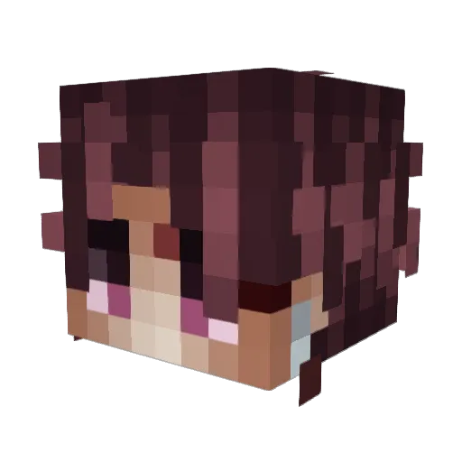 HITMAN199 Minecraft avatar head, 3D render