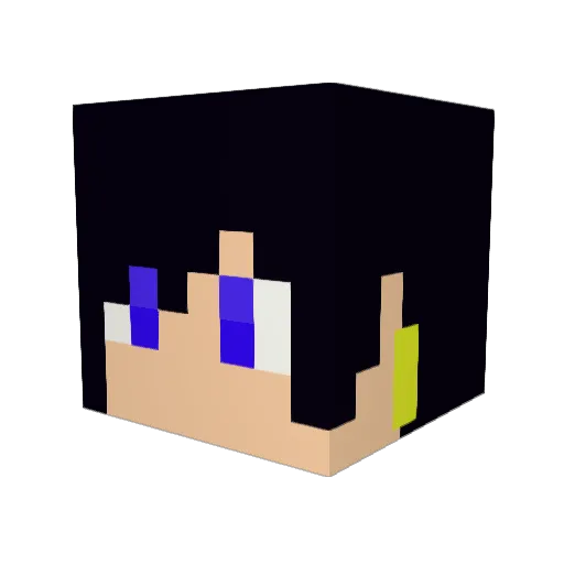 HIXAS2 Minecraft avatar head, 3D render