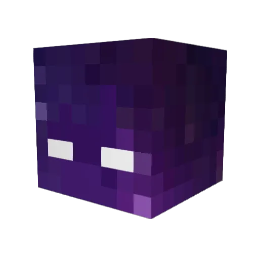 HIddenPro Minecraft avatar head, 3D render