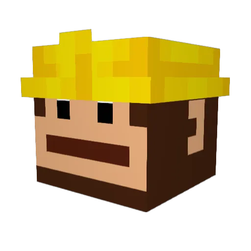 HJC_Coolers Minecraft avatar head, 3D render