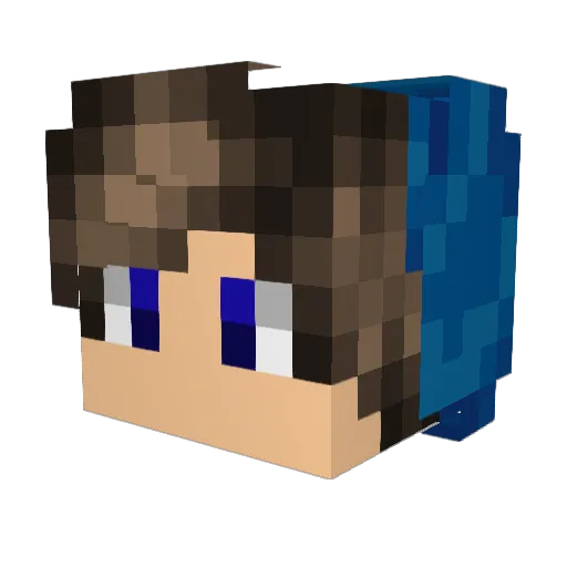 HJDY_exvstkl1 Minecraft avatar head, 3D render