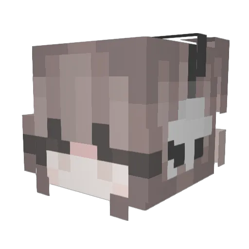 HJKLS8 Minecraft avatar head, 3D render