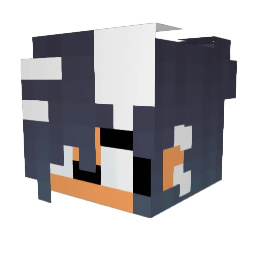 HJWMicket Minecraft avatar head, 3D render