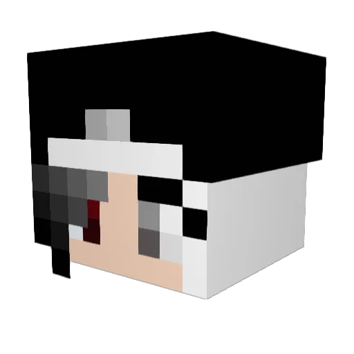 HJ_MMOS Minecraft avatar head, 3D render