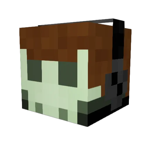 HKA_Luapa Minecraft avatar head, 3D render