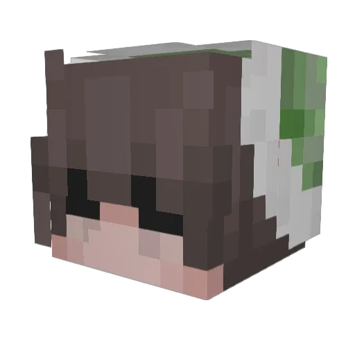 HKHimHim Minecraft avatar head, 3D render