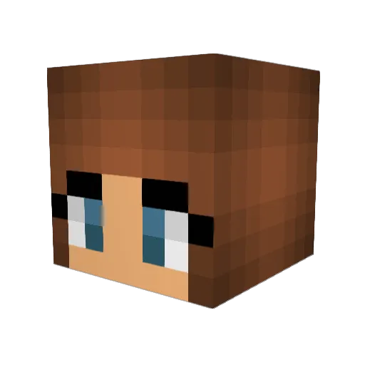 HKM2013 Minecraft avatar head, 3D render