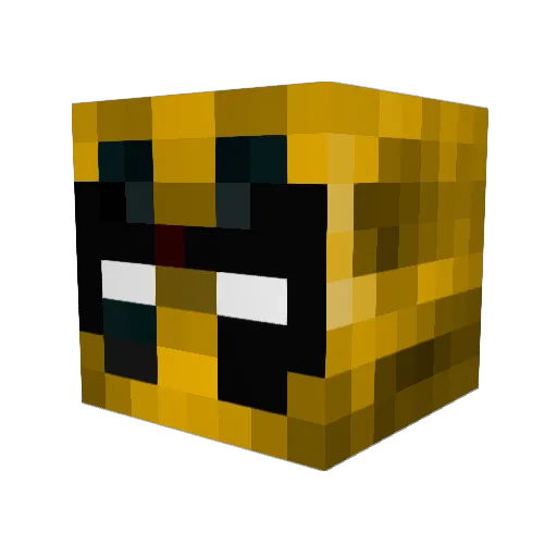 HLN_ Minecraft avatar head, 3D render
