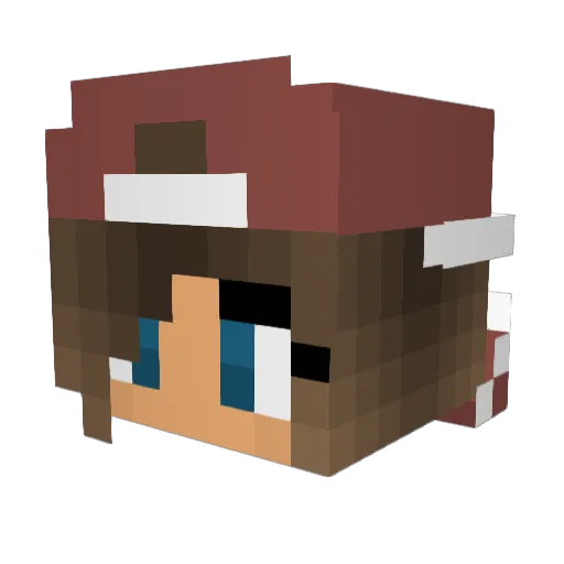 HLR2004 Minecraft avatar head, 3D render