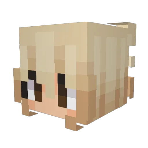 HLogan23 Minecraft avatar head, 3D render