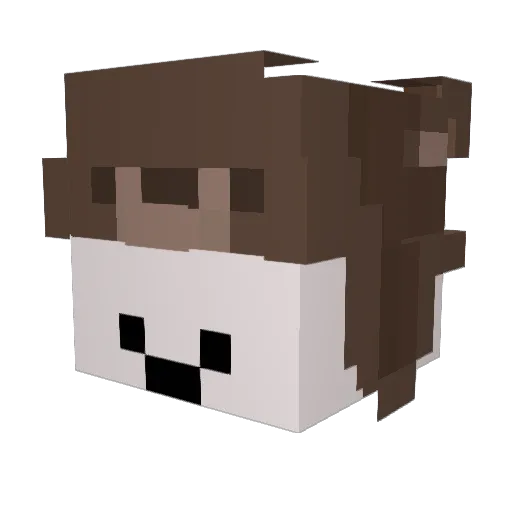 HM1_ Minecraft avatar head, 3D render