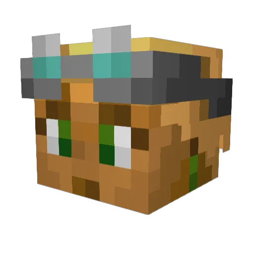 HMBear Minecraft avatar head, 3D render