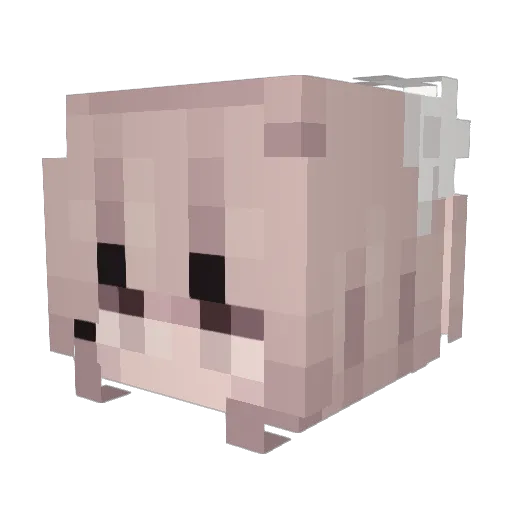 HMNG_X Minecraft avatar head, 3D render