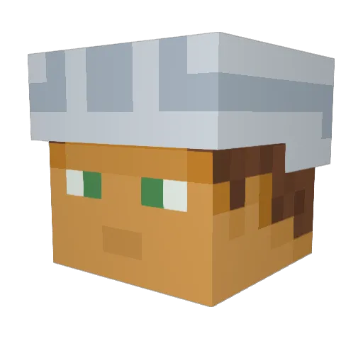 HMSRenee Minecraft avatar head, 3D render
