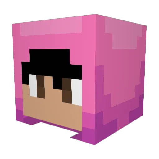 HMoney69 Minecraft avatar head, 3D render