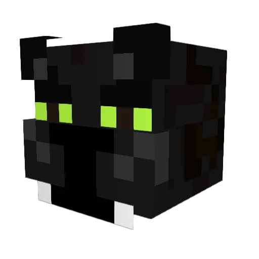 HN10 Minecraft avatar head, 3D render