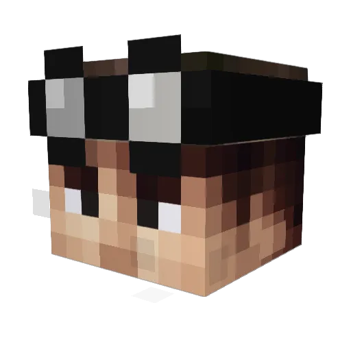 HNF2002 Minecraft avatar head, 3D render
