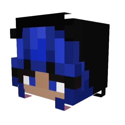 HNLS Minecraft avatar head, 3D render