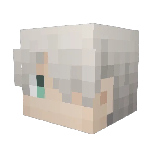 HNMS Minecraft avatar head, 3D render