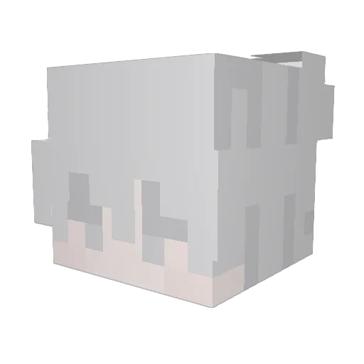 HN_Doughcat Minecraft avatar head, 3D render