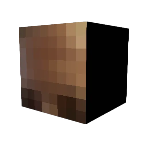 HN_Joco Minecraft avatar head, 3D render