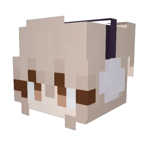HODDDDDDD Minecraft avatar head, 3D render