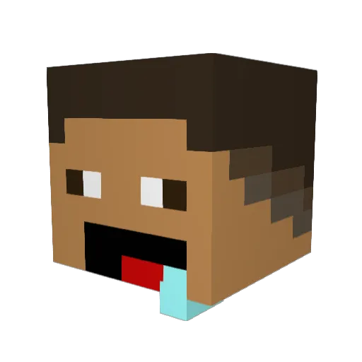 HOEIMHIM Minecraft avatar head, 3D render