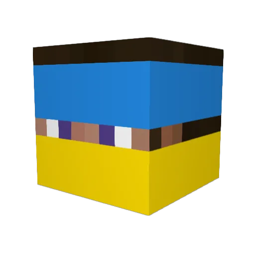 HOHLYPIDORASI Minecraft avatar head, 3D render