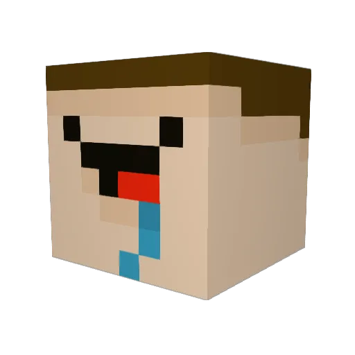 HOLOMANO Minecraft avatar head, 3D render