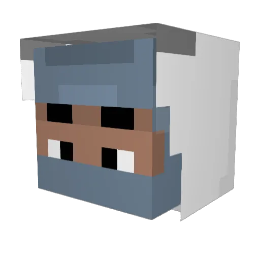 HOLO_30 Minecraft avatar head, 3D render