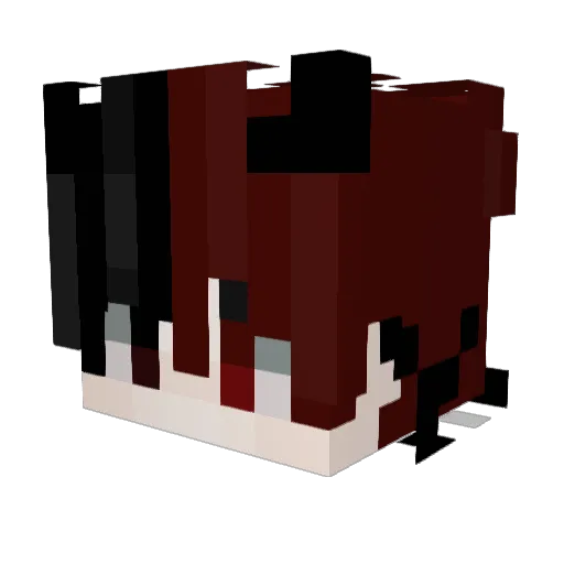 HOMACHOK_2 Minecraft avatar head, 3D render