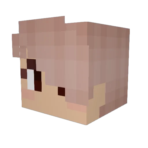 HOMEJM_710 Minecraft avatar head, 3D render