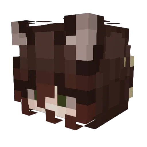 HONEYDEYYY Minecraft avatar head, 3D render