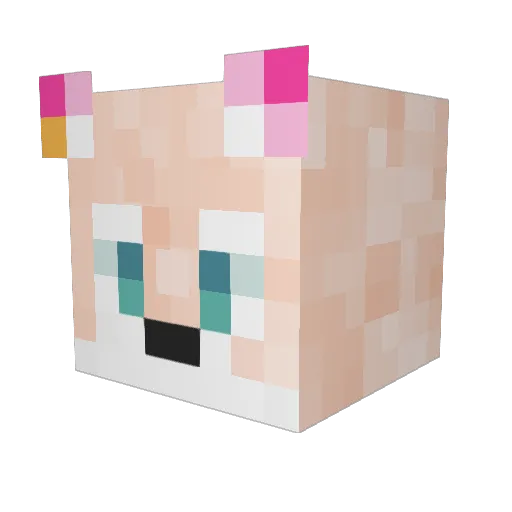 HONKLEY Minecraft avatar head, 3D render