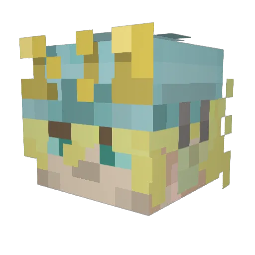HONKZZZZ Minecraft avatar head, 3D render