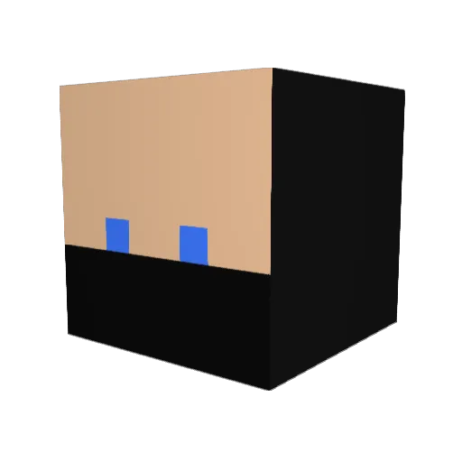 HOOA_ Minecraft avatar head, 3D render