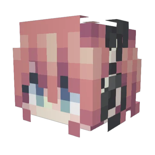 HOOLYToasT Minecraft avatar head, 3D render