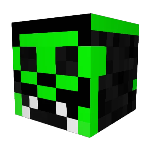 HOOT33 Minecraft avatar head, 3D render