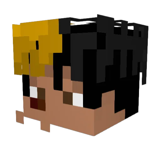 HOPEuDIE Minecraft avatar head, 3D render
