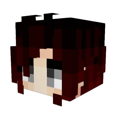HOPPAYAKNOW Minecraft avatar head, 3D render