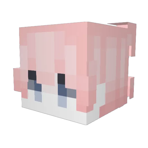 HOPSCOTT76 Minecraft avatar head, 3D render