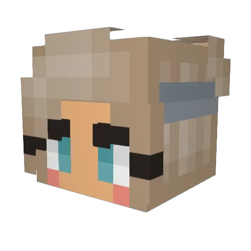 HOUOUIN_KYOMA_ Minecraft avatar head, 3D render