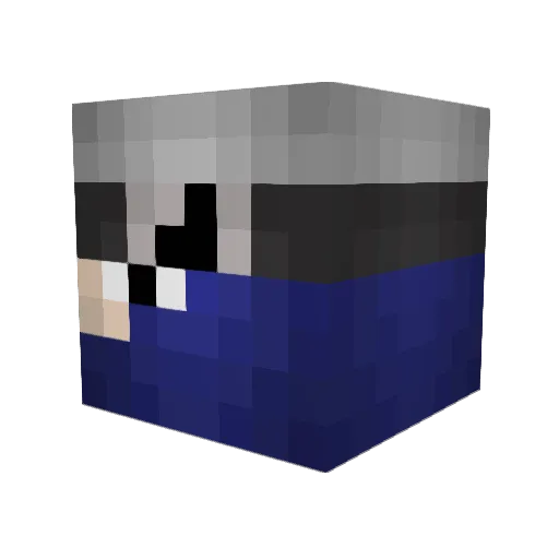HOUSE_JIN Minecraft avatar head, 3D render
